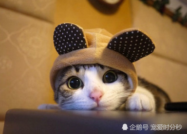 “m6最新官网”黄淮学院经济与管理学院大一新生心理健康教育第一课圆满举行(图2) m6最新官网