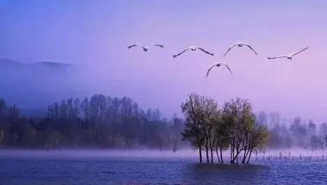 米乐M6官方入口