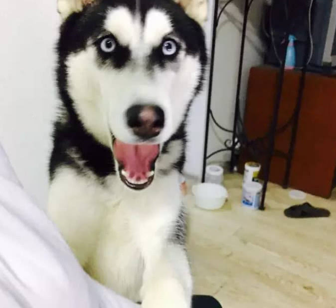 春季招生报名|米乐M6