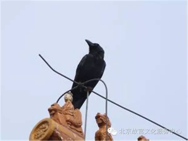 【最新公布】2016吉林高考分数线【m6最新官网】(图2) 米乐M6官方入口