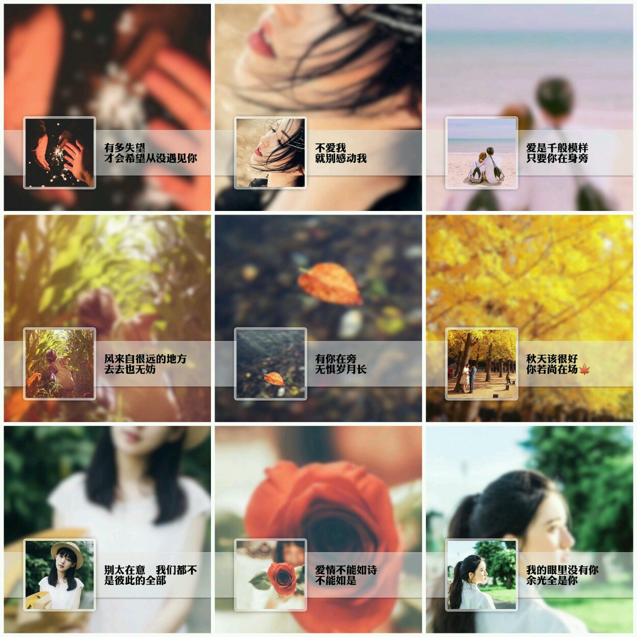 米乐M6官方入口