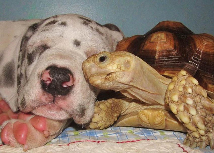 米乐M6官方入口