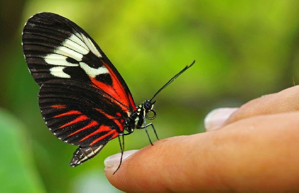 商丘工学院机械工程学院记者站开展“青春告白祖国”主题活动【m6最新官网】